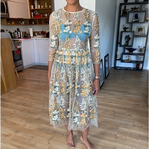 Blueoxy Dresses | Sheer Embroidered Dress! | Color: Cream | Size: 4 | Acorrente1's Closet